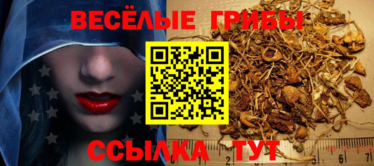 Галлюциногенные грибы Cubensis Сафоново
