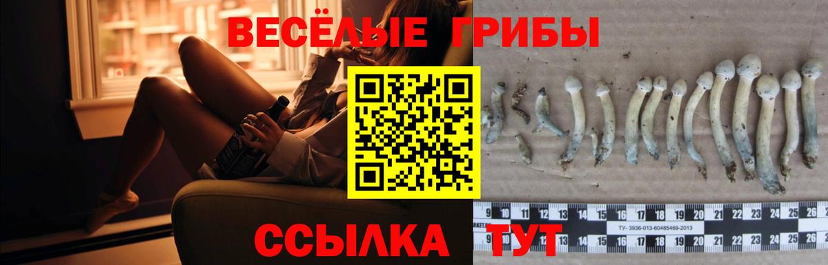 Сафоново  Псилоцибиновые грибы мухоморы  Вход с VPN 